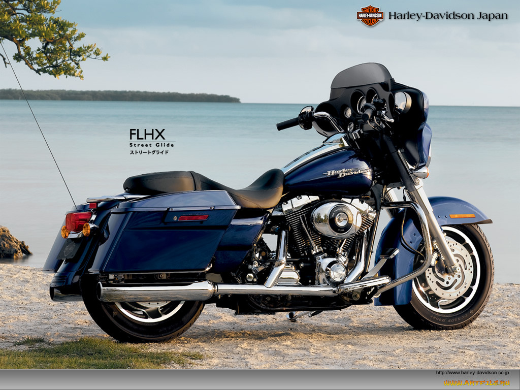 , harley, davidson